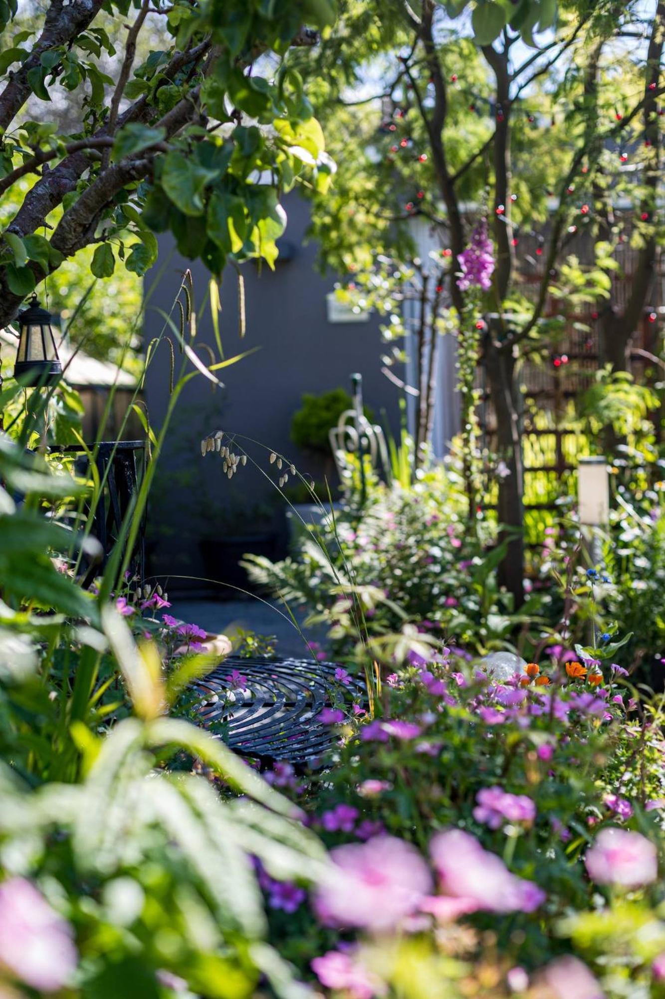 Hideaway Cabin For Two On Edge Of New Forest Hinton  Εξωτερικό φωτογραφία
